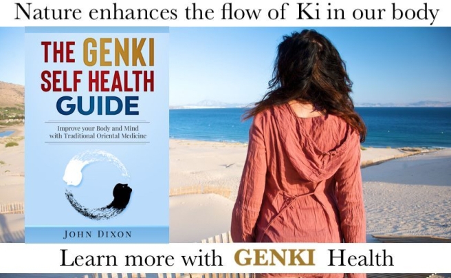 Genki health Japanese woman sea