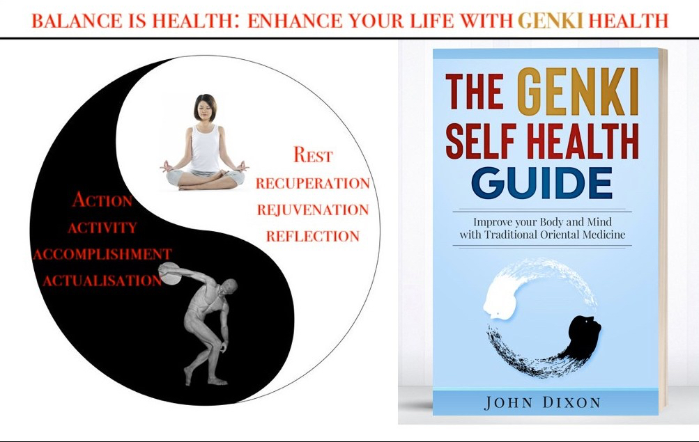 ying yang genki health book japanese 9